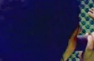XXX Fick film x portugais gratuit Fack est ein geiles Ding!